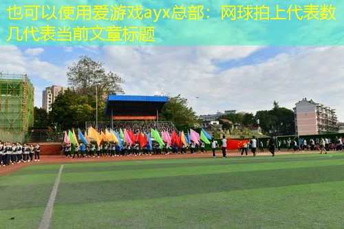 爱游戏ayx总部：网球拍上代表数几