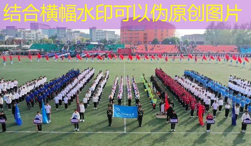 爱游戏ayx官方全站：塑胶跑道彩色颗粒：为运动场地注入绚丽多彩的元素