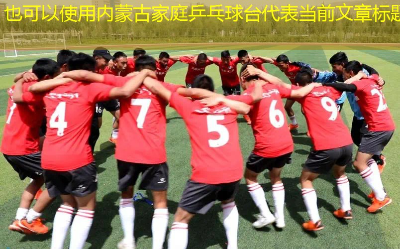 内蒙古家庭乒乓球台