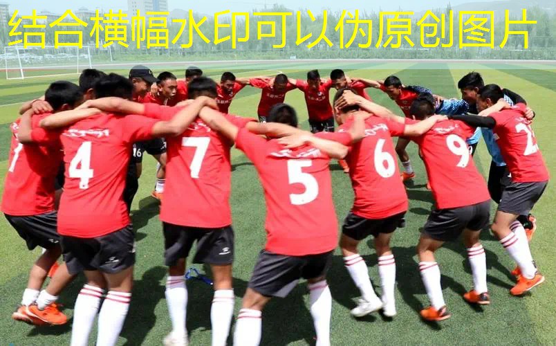 爱游戏ayx总部：什么室内健身器材最好