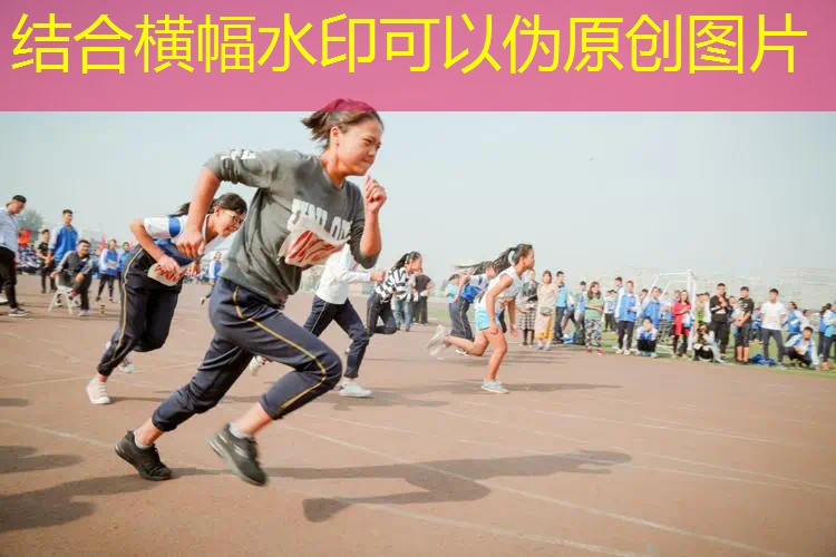 爱游戏ayx官方网站入口：乒乓球台有毒