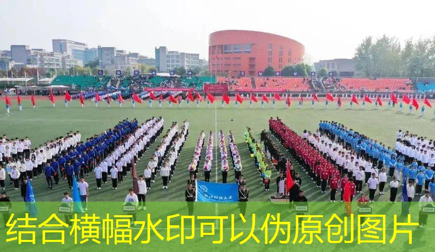 网球拍全碳素和碳复合