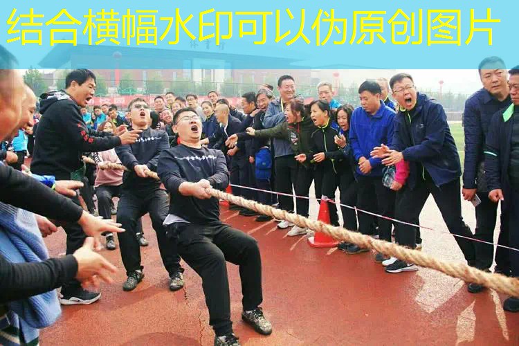 网红网球拍训练器教程 网红网球拍训练器教程