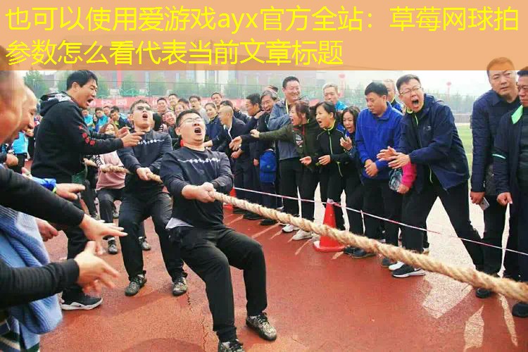 草莓网球拍参数怎么看