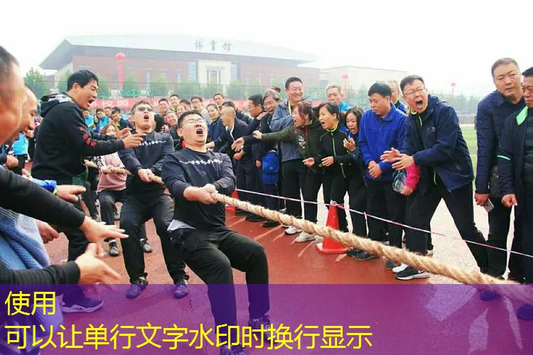 高难度技巧:鞍马上的双脚翻腾与飞身翻跃 高难度技巧:鞍马上的双脚翻腾与飞身翻跃