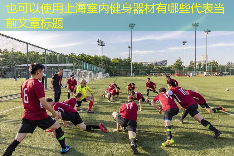 上海室内健身器材有哪些 上海室内健身器材有哪些
