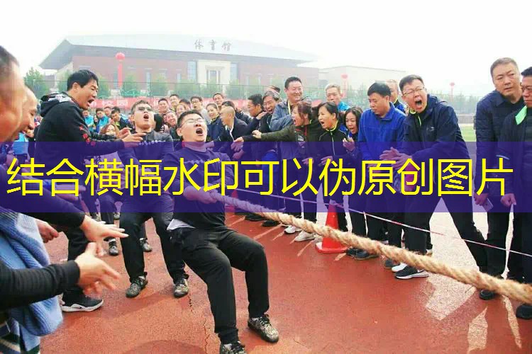 乒乓球台长和宽分别是多少