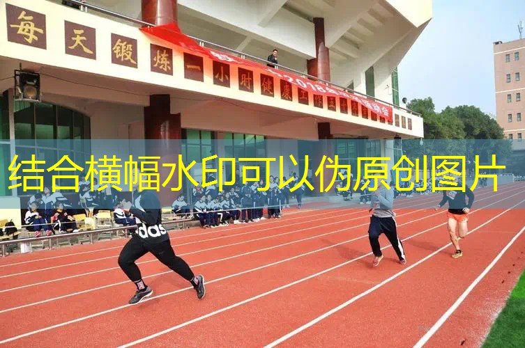 健身房室内卡座尺寸标准 健身房室内卡座尺寸标准