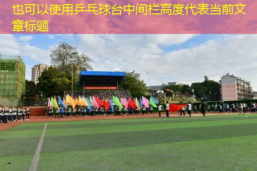 乒乓球台中间栏高度 乒乓球台中间栏高度
